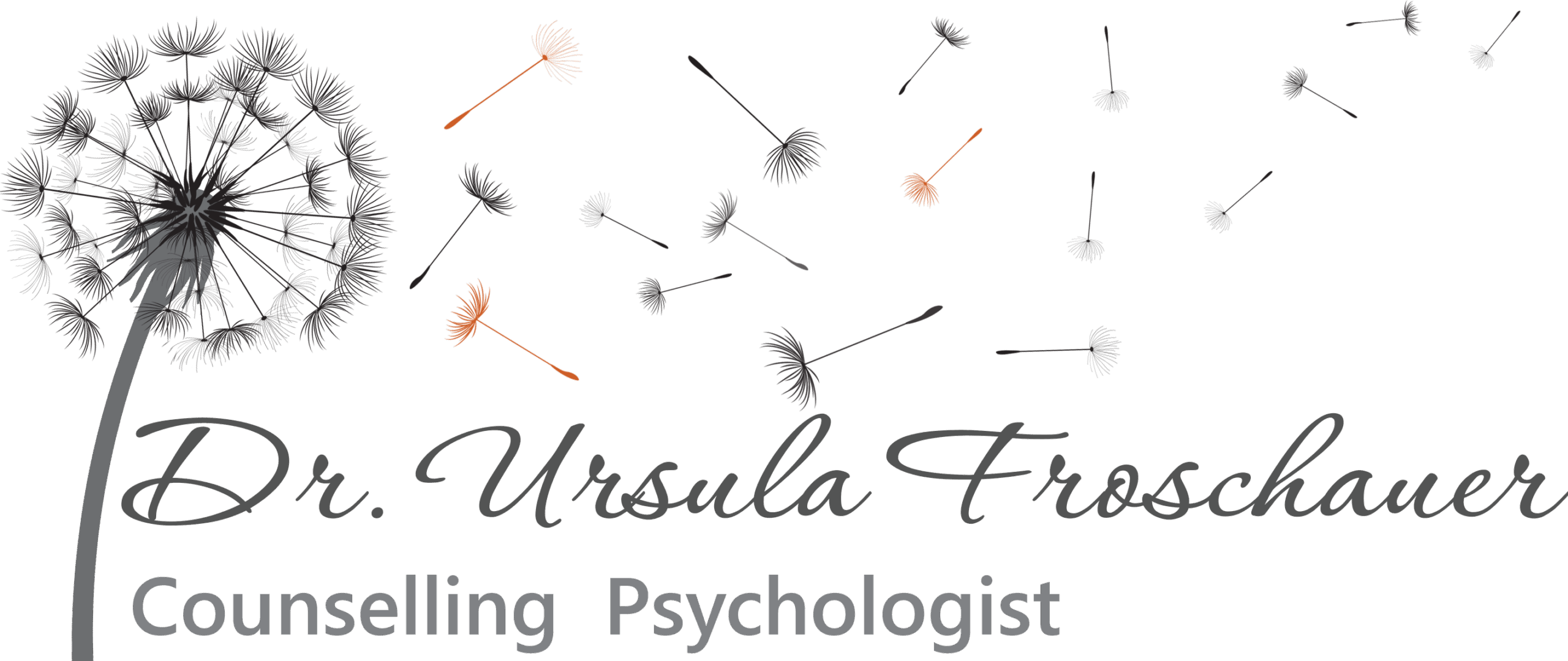 Dr Ursula Froschauer